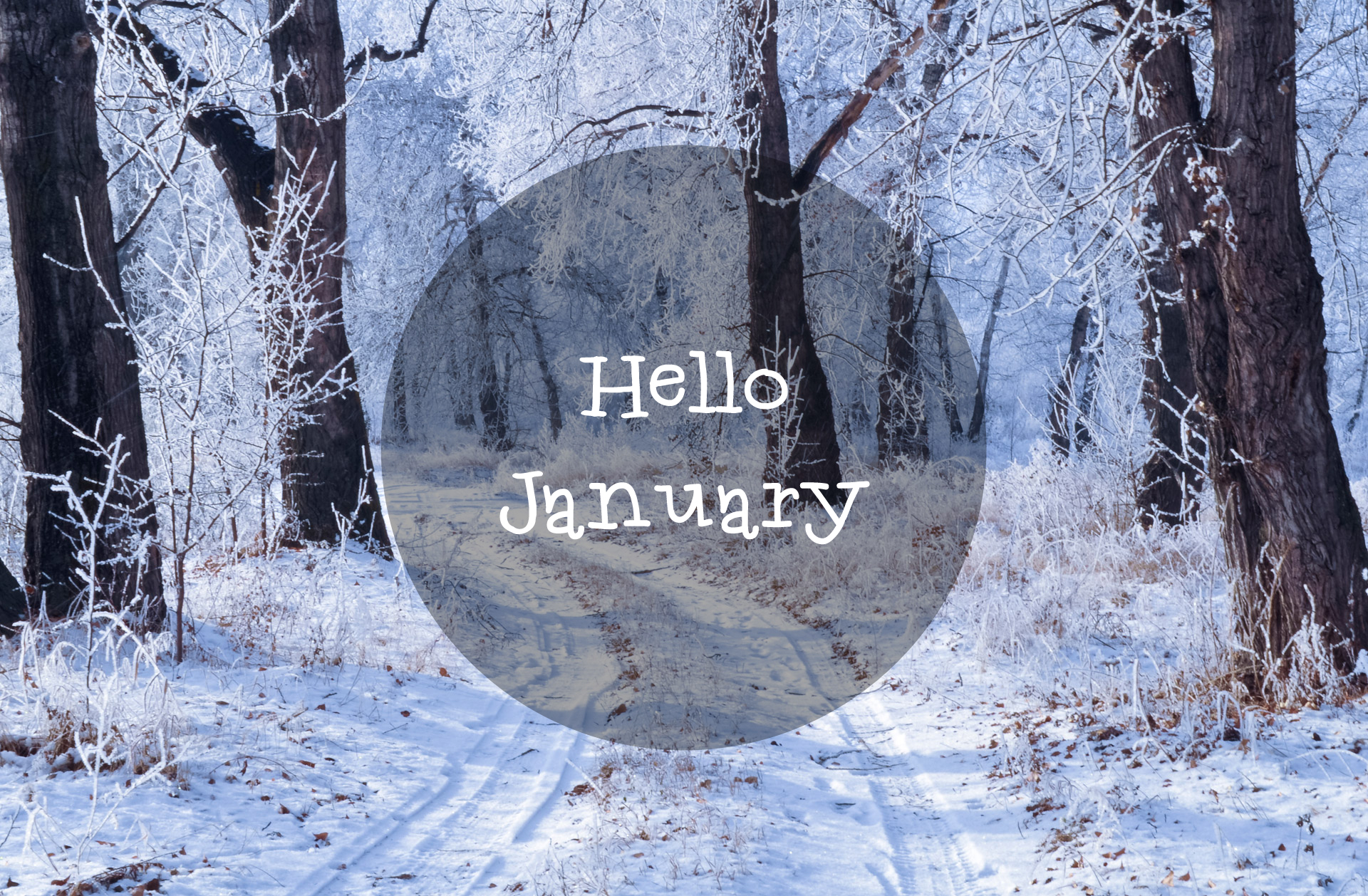 Januaryh Hey, It's January... - Play Nice Together