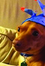 Papi was believed attacked and taken from her home near Bell Middle School last October.