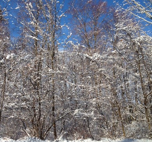 snow scene