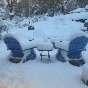 The Wong family front yard was blanketed with Sandy’s October snow.