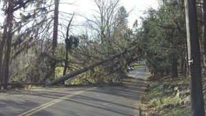 Judy McGrath’s photo of a tree that fell on Hardscrabble Road near Douglas Road; the area was without power for many days.