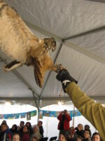 EagleFest birds 2