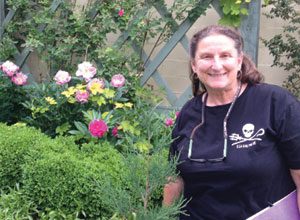 We caught up with Julie Greco, independent landscape designer and the proud creator of the beautiful Pocket Park On North Greeley Avenue in downtown Chappaqua.