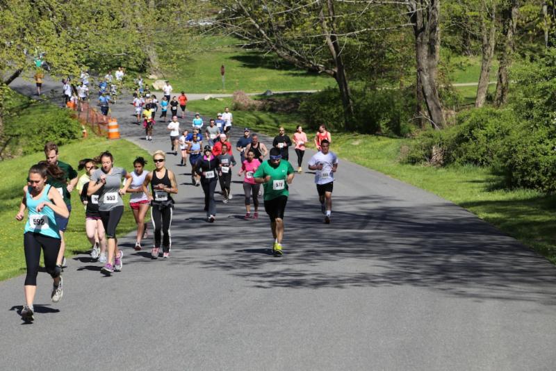 MHA walk 2015b