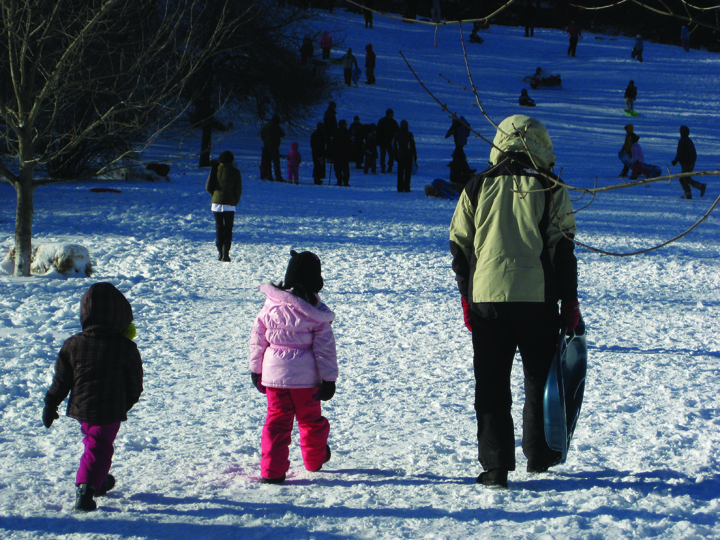 sledding at gedney pic
