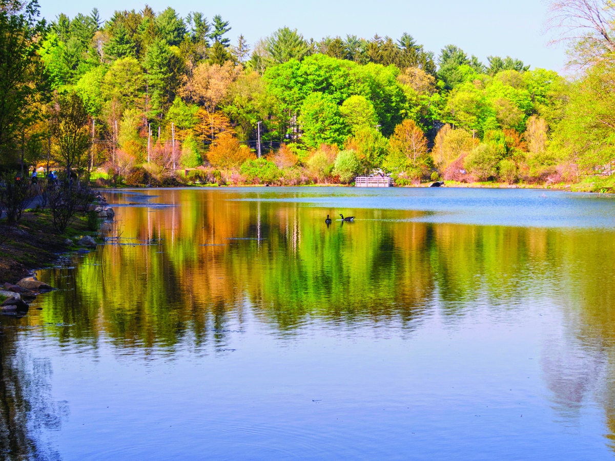In addition to hiking trails, ballfields and a playground, Gedney Park has a pond that is stocked with trout each spring for fishing. / Photo by Marianne Campolongo