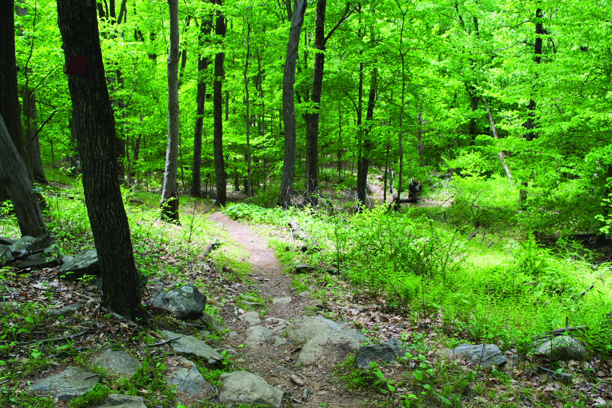 Whipporwill Park