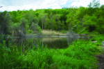 Glazier Arboretum