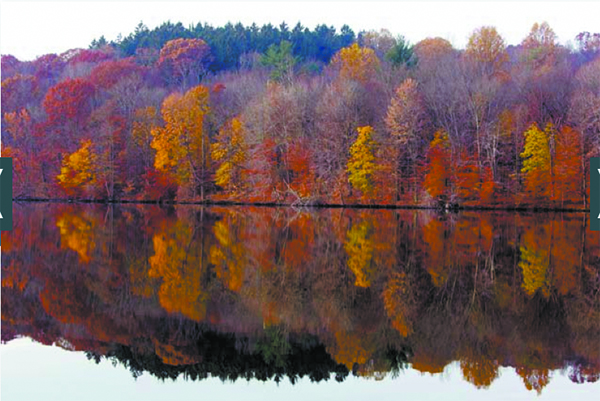 fall parks page pic