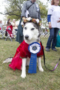 Shiloh. Photo by Meg Reinhardt