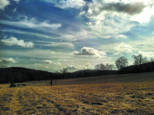 November sky. Ward Pound Ridge Reservation, Cross River.