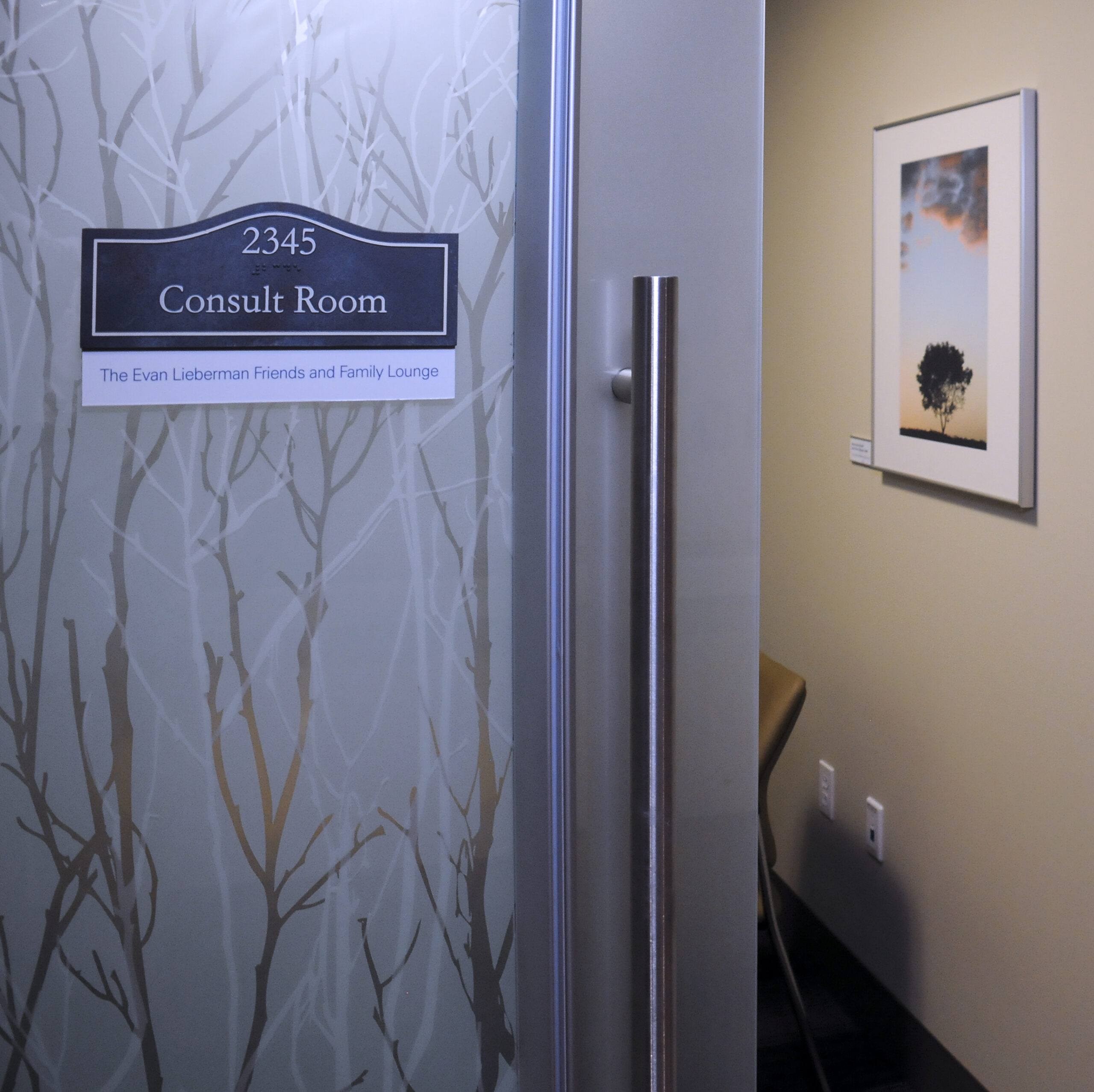wmc consult room