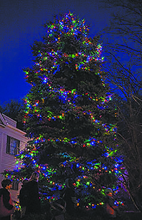 Tree lighting