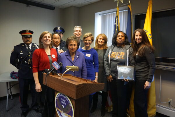 Activists joining the speakers represented New Yorkers Against Gun Violence, Million Mom March, the Brady Campaign and Everytown for Gun Safety