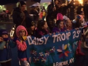Daisy Troop photo