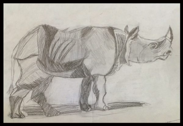 Twelve year old student created this marvelous beast