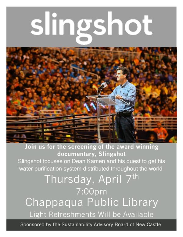 Slingshot Flyer Final