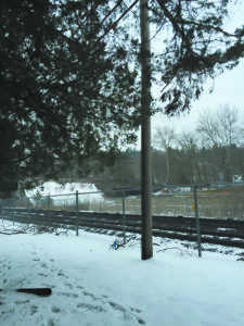 The Hunts Point Location