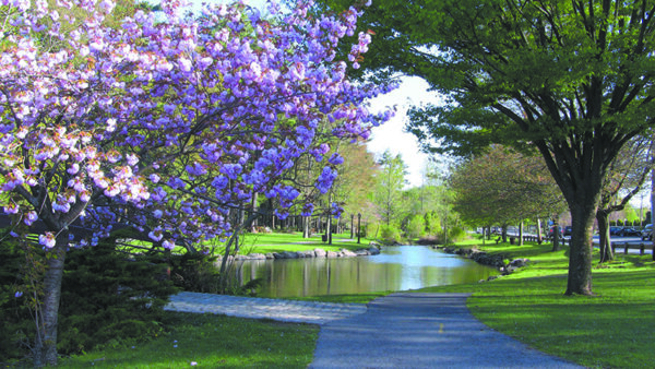 Wampus Brook Park is the perfect location for a picnic this spring.