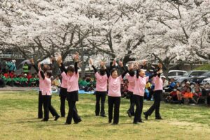 People of Shinshiro City, Japan, at Cherry Blossom time