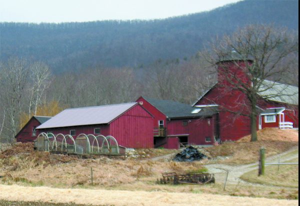 farm