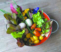Pound Ridge Organics