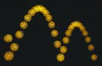 parabola