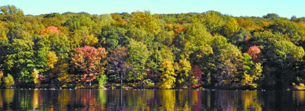 Photos Courtesy of Rockefeller Preserve