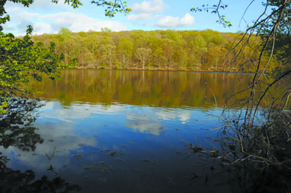 Photos Courtesy of Rockefeller Preserve