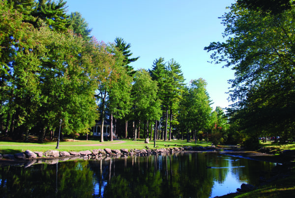 inside-armonk-november-foliage-wampus-6