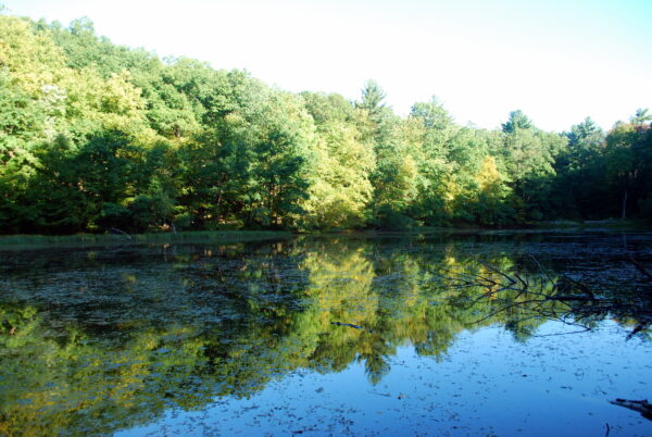 inside-armonk-november-foliage-lake