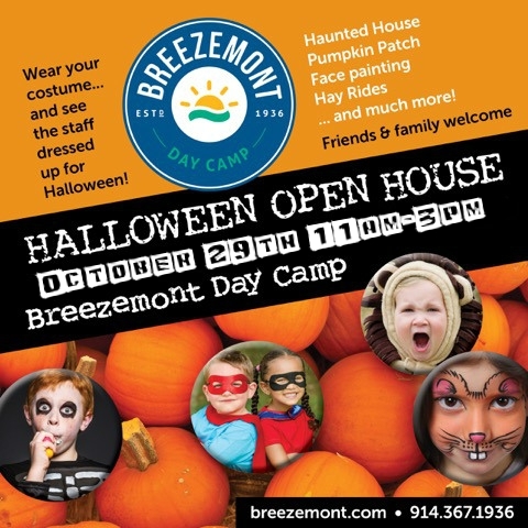 breezemon-16open-house