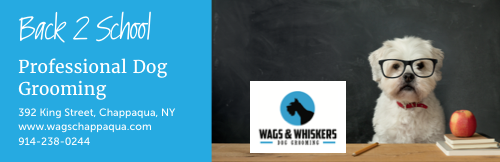 Wags & Whiskers